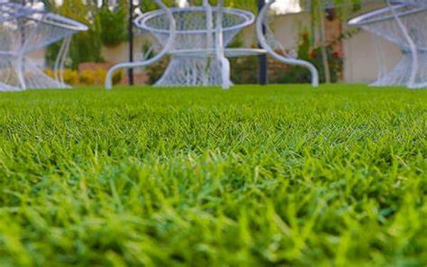 تصویر 4 از چمن مصنوعی ضخیم برای جلوه طبیعی تر